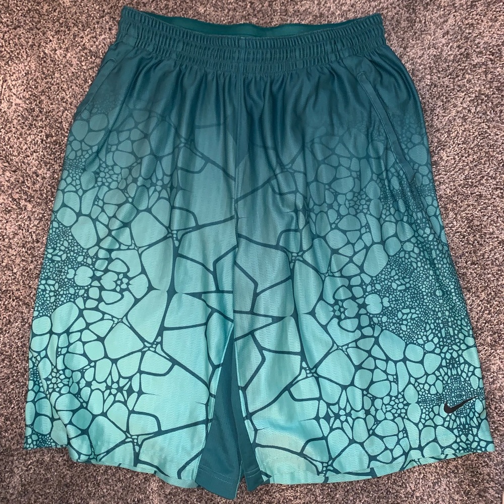 Lebron Nike shorts
